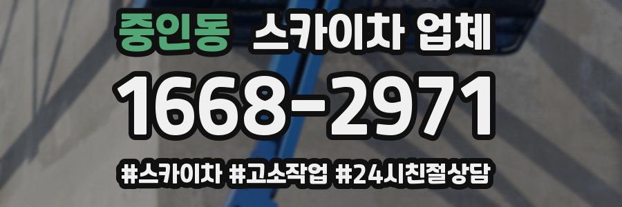 중인동 스카이차 업체