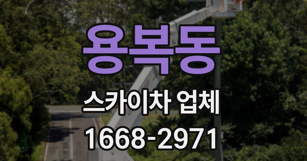 용복동 스카이차 업체