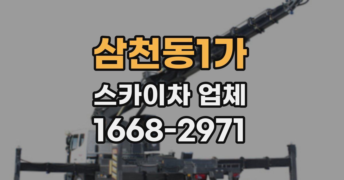 삼천동1가 스카이차 업체