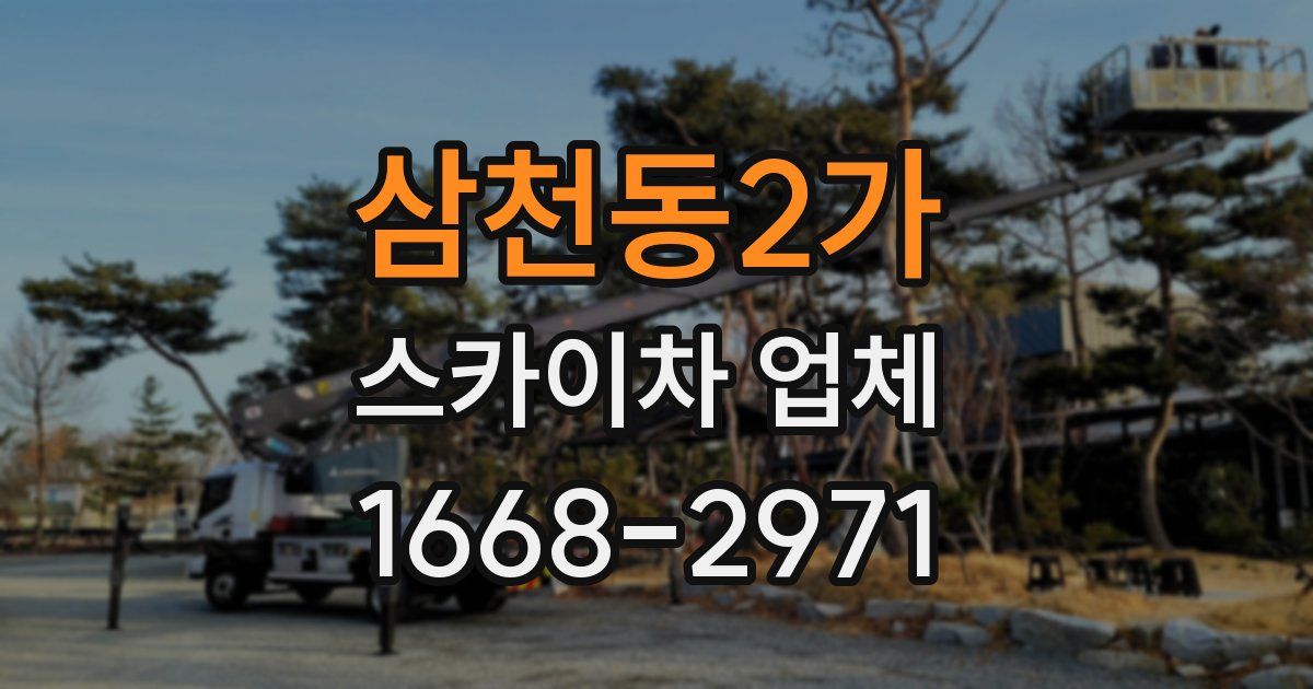 삼천동2가 스카이차 업체