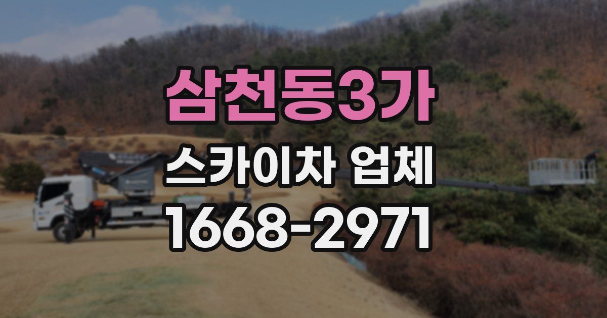 삼천동3가 스카이차 업체