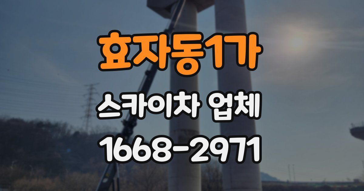 효자동1가 스카이차 업체