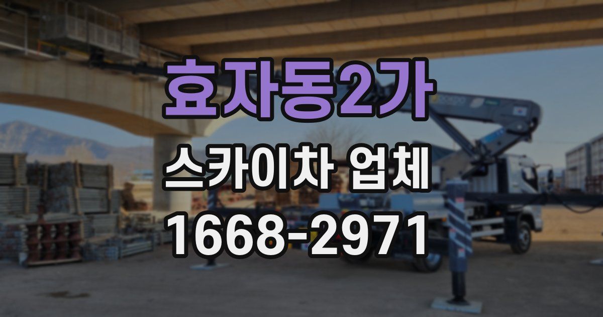 효자동2가 스카이차 업체
