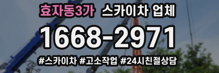 효자동3가 스카이차 업체