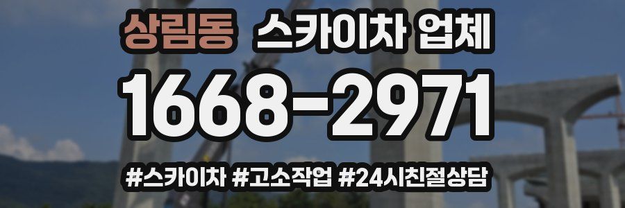 상림동 스카이차 업체