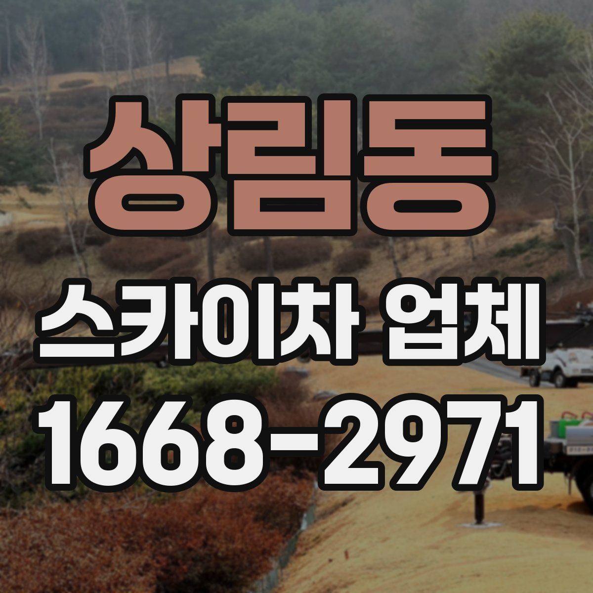 상림동 스카이차 업체