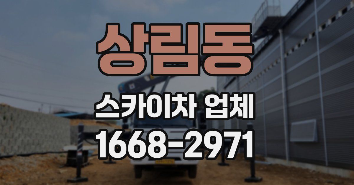 상림동 스카이차 업체