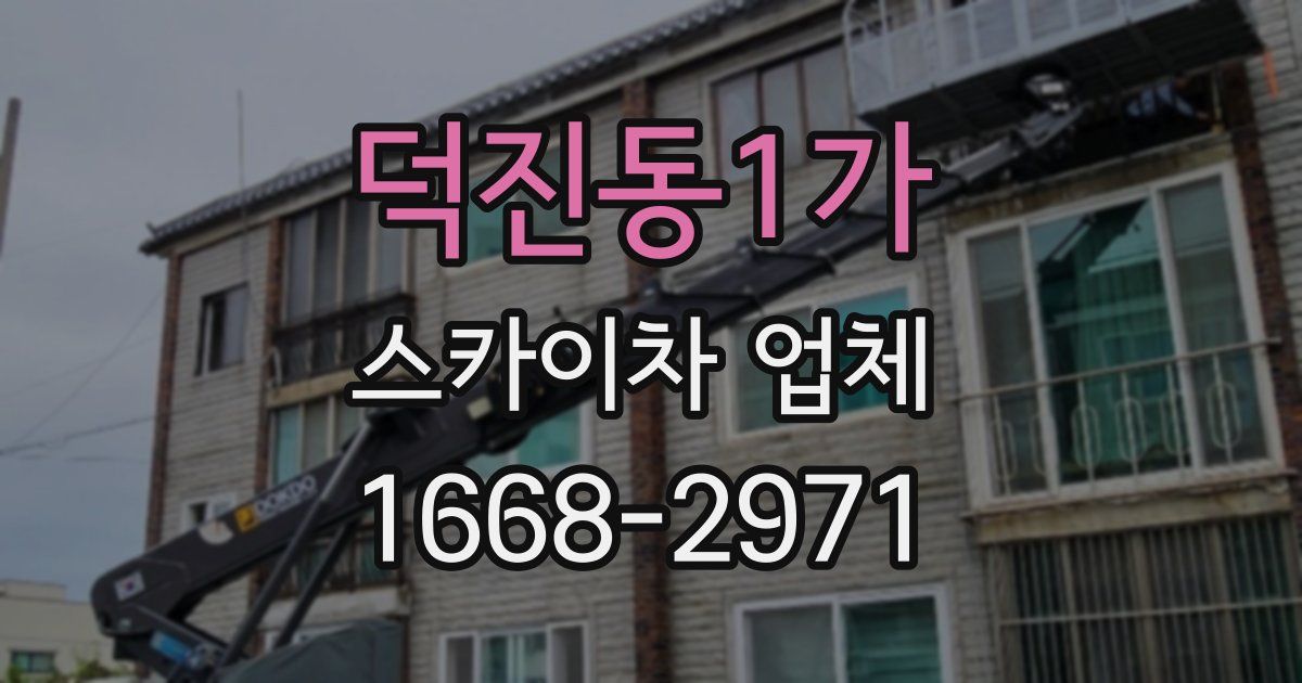 덕진동1가 스카이차 업체