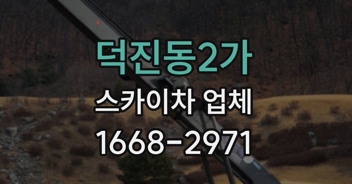 덕진동2가 스카이차 업체