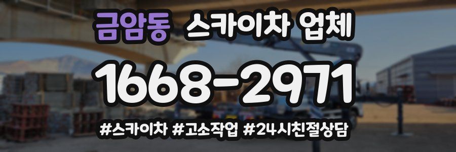 금암동 스카이차 업체