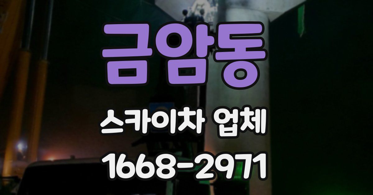 금암동 스카이차 업체