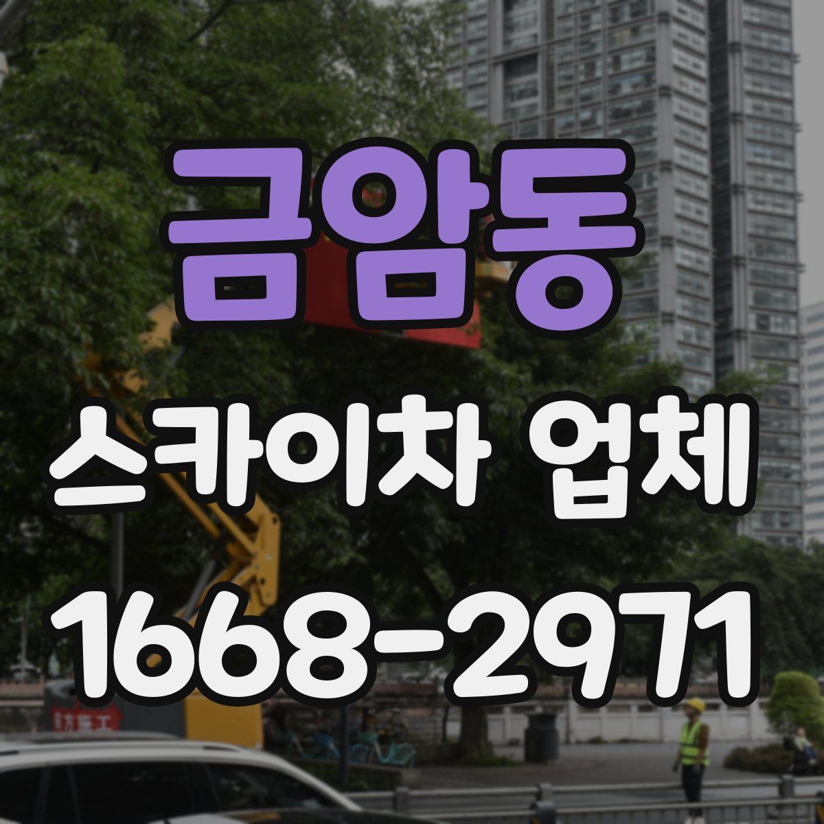 금암동 스카이차 업체