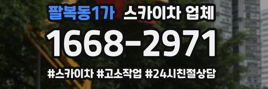 팔복동1가 스카이차 업체