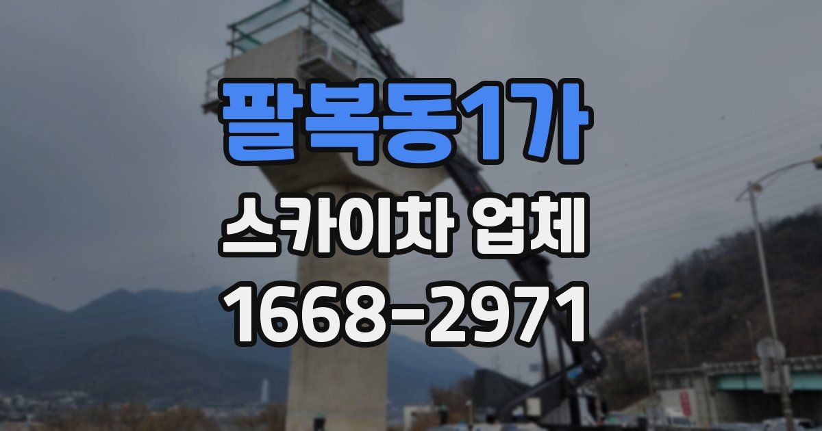 팔복동1가 스카이차 업체