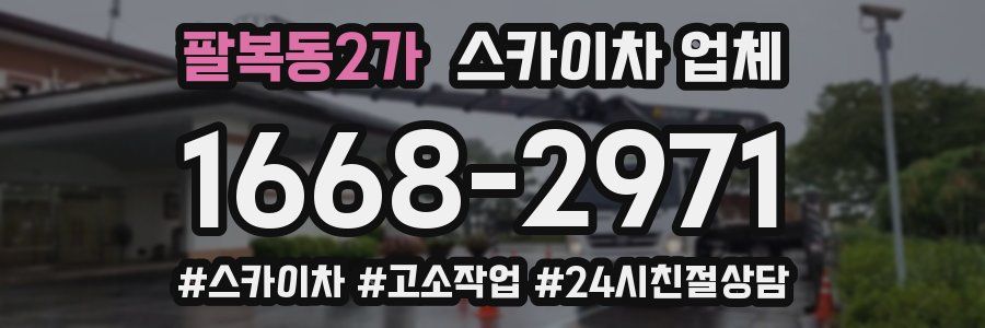 팔복동2가 스카이차 업체