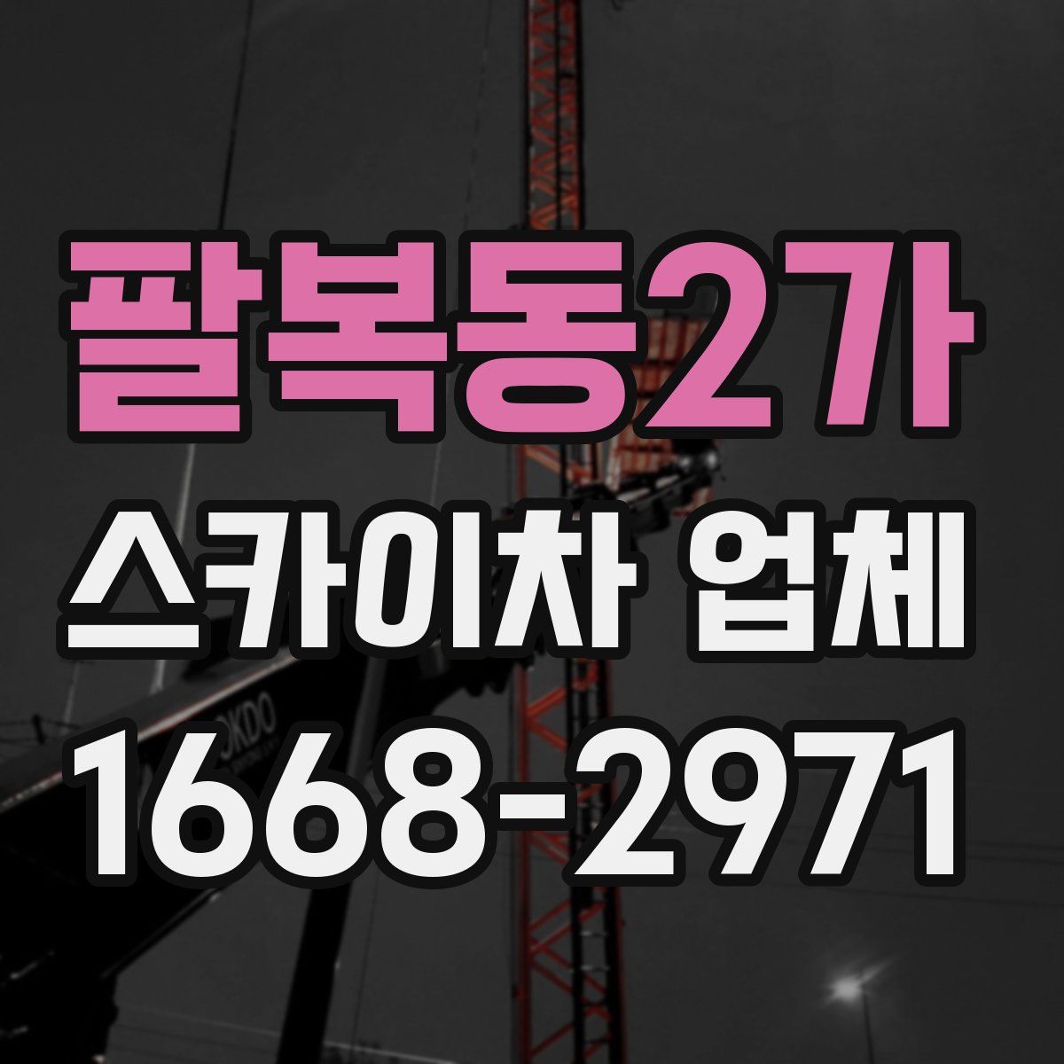 팔복동2가 스카이차 업체