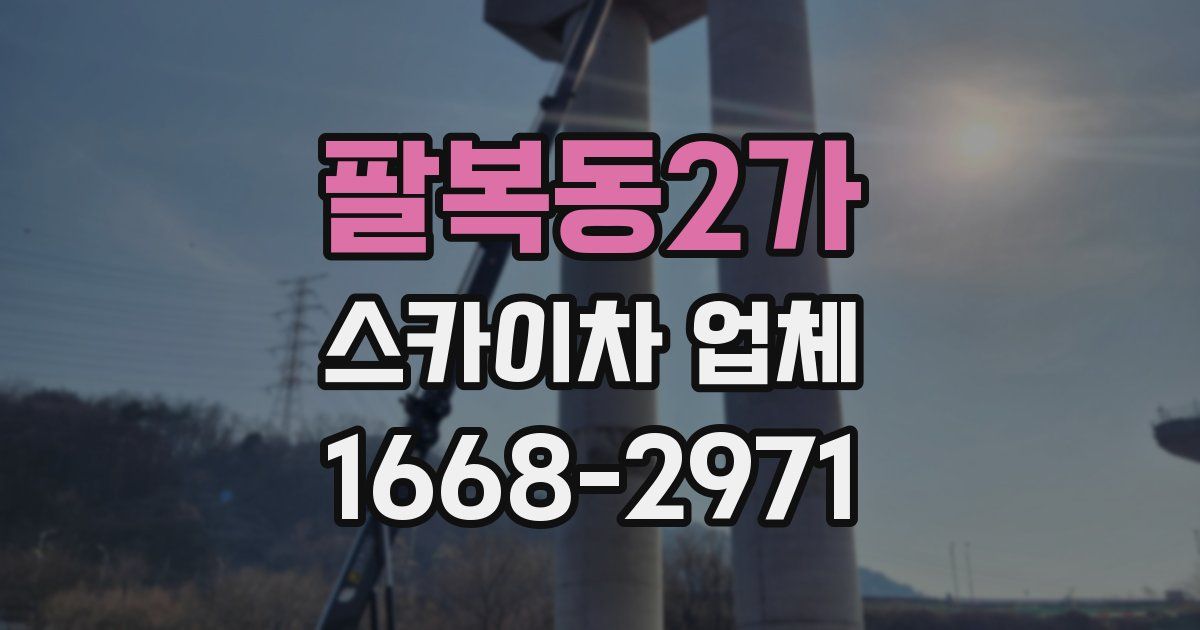 팔복동2가 스카이차 업체