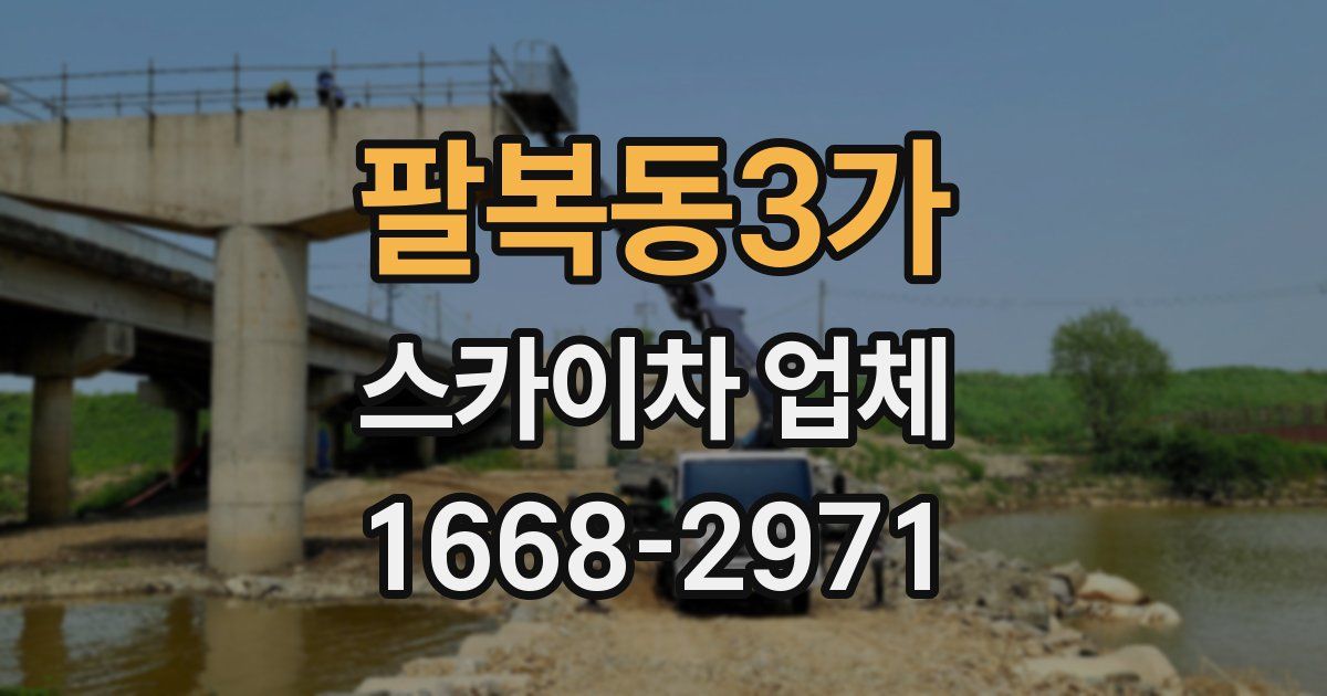 팔복동3가 스카이차 업체