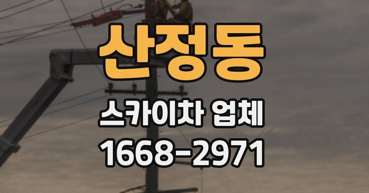 산정동 스카이차 업체