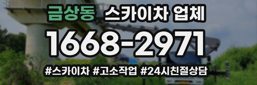 금상동 스카이차 업체