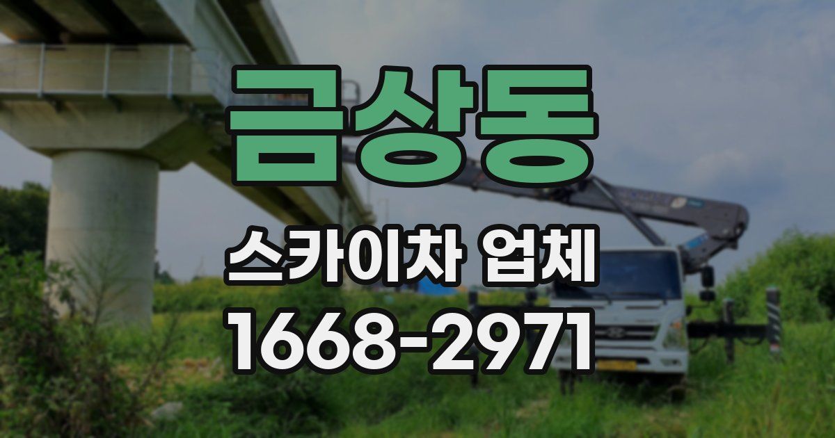 금상동 스카이차 업체