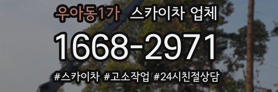 우아동1가 스카이차 업체