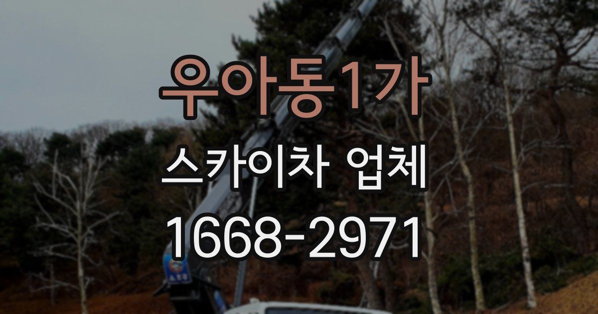 우아동1가 스카이차 업체