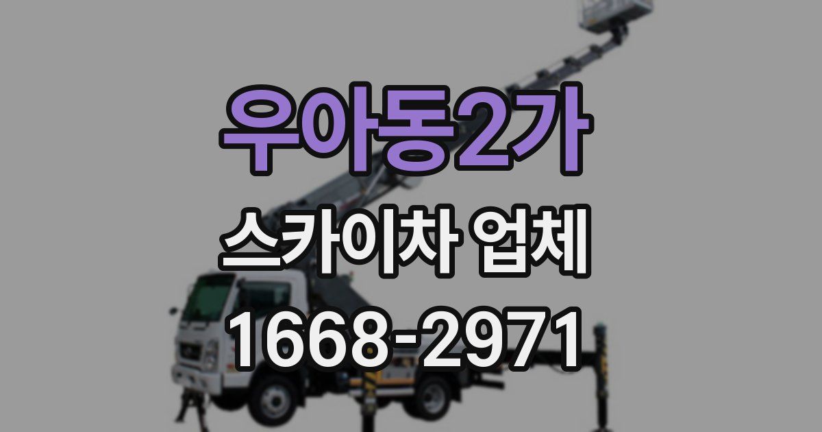 우아동2가 스카이차 업체