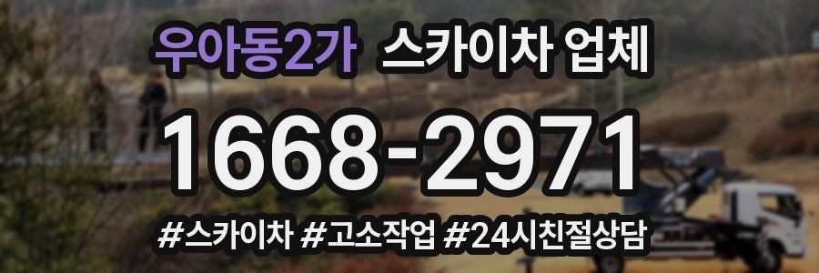 우아동2가 스카이차 업체