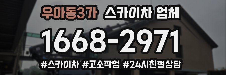 우아동3가 스카이차 업체