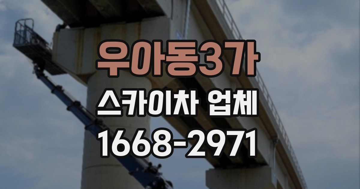 우아동3가 스카이차 업체