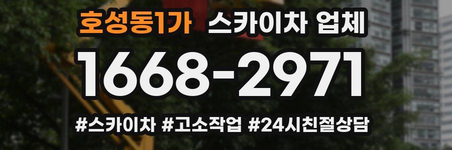 호성동1가 스카이차 업체
