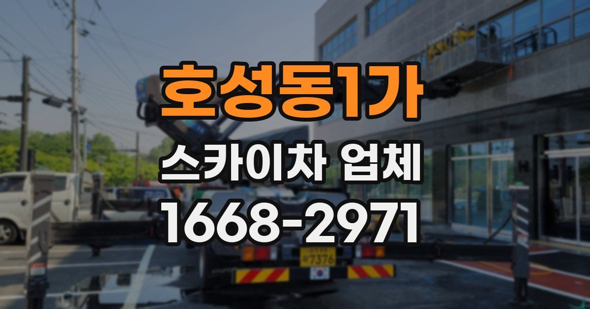 호성동1가 스카이차 업체