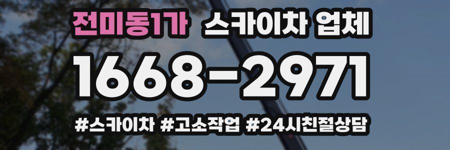 전미동1가 스카이차 업체