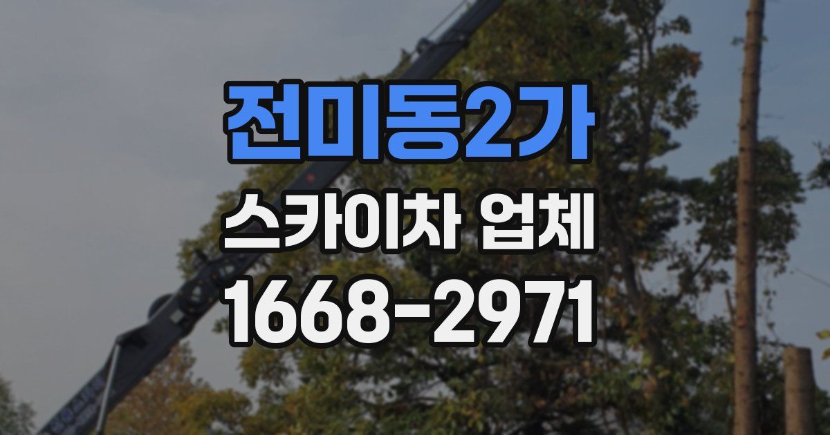 전미동2가 스카이차 업체