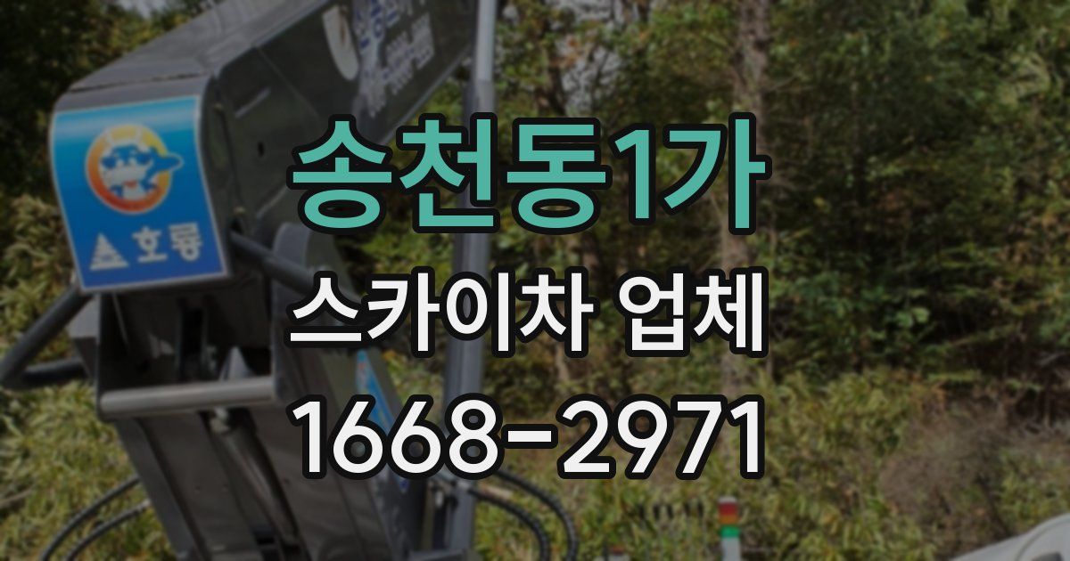 송천동1가 스카이차 업체