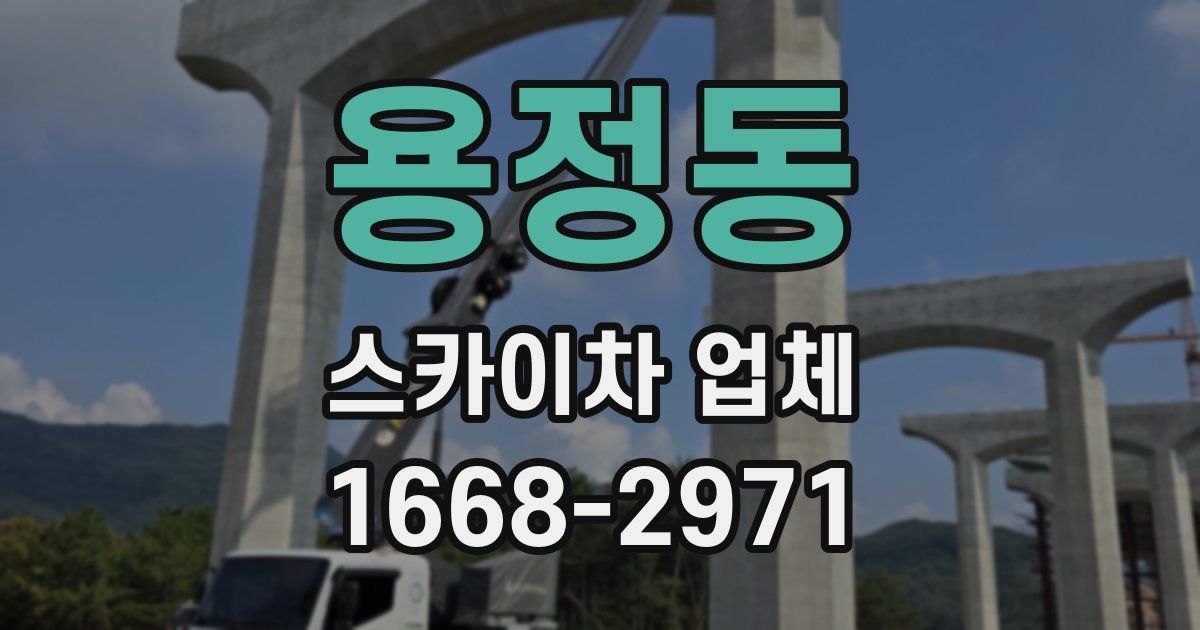 용정동 스카이차 업체