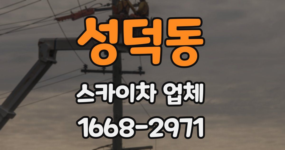 성덕동 스카이차 업체