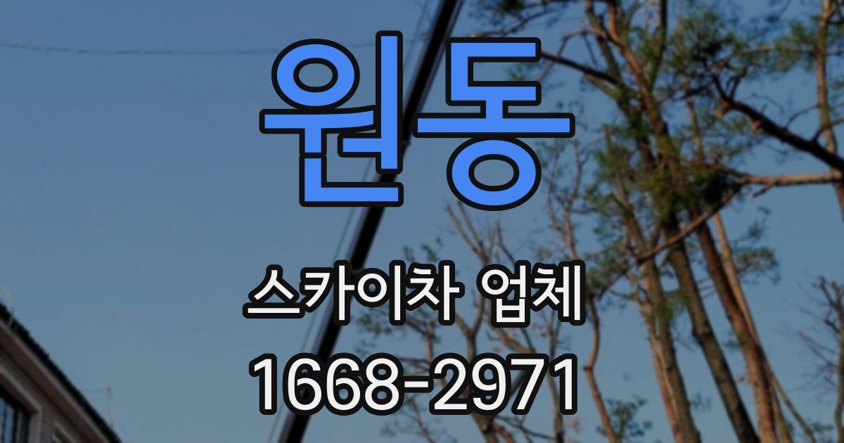 원동 스카이차 업체