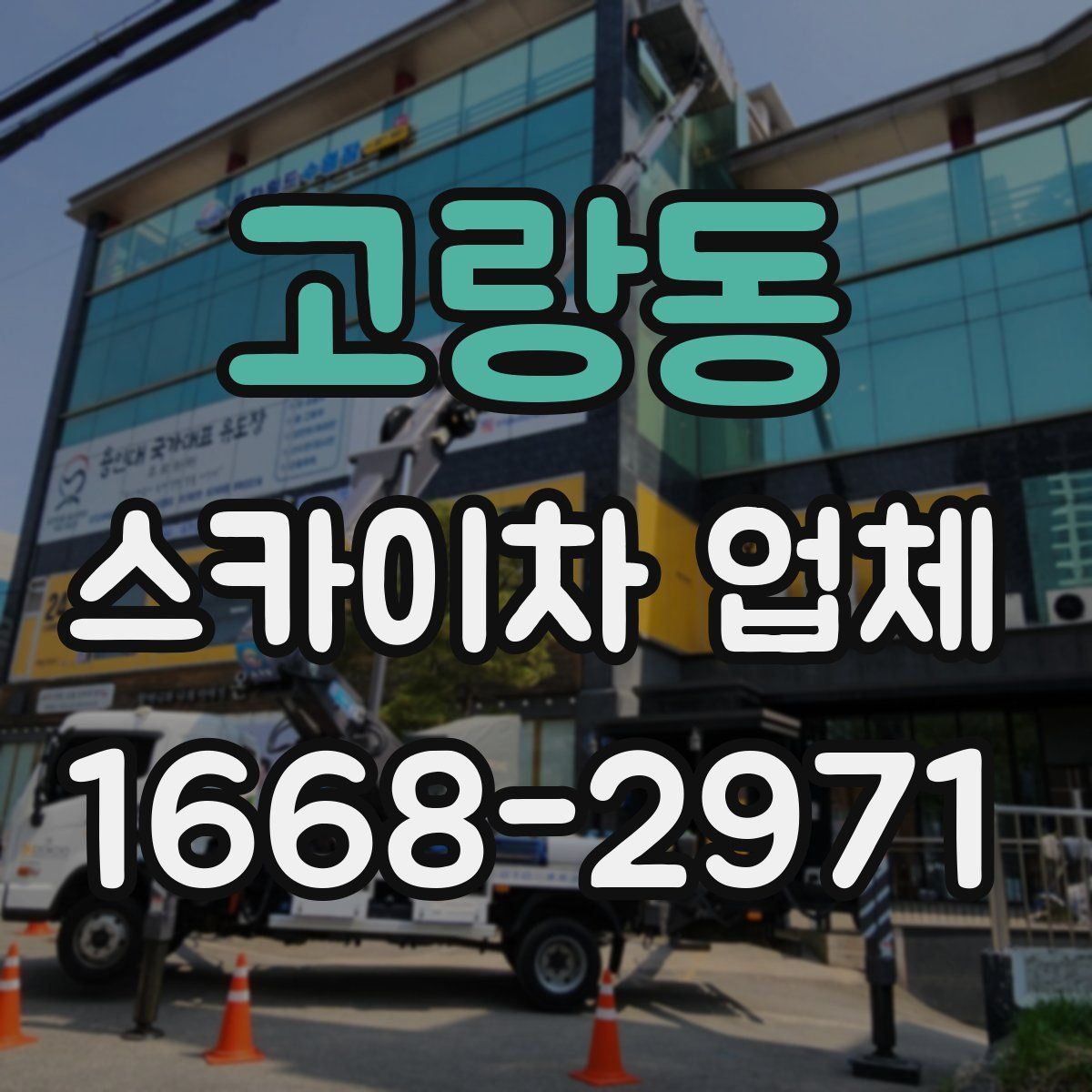 고랑동 스카이차 업체
