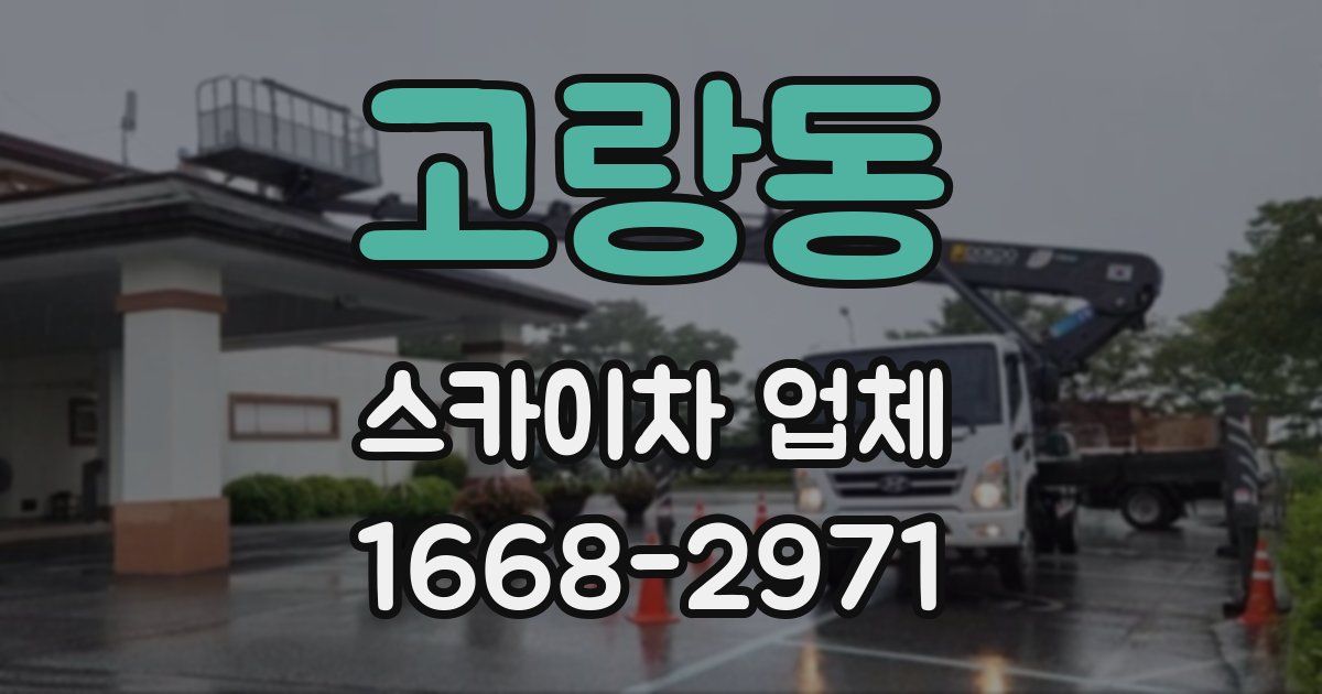 고랑동 스카이차 업체