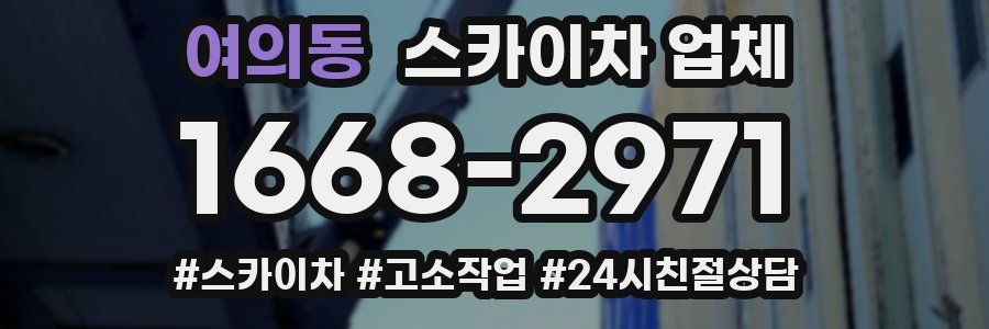 여의동 스카이차 업체