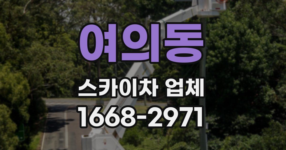여의동 스카이차 업체