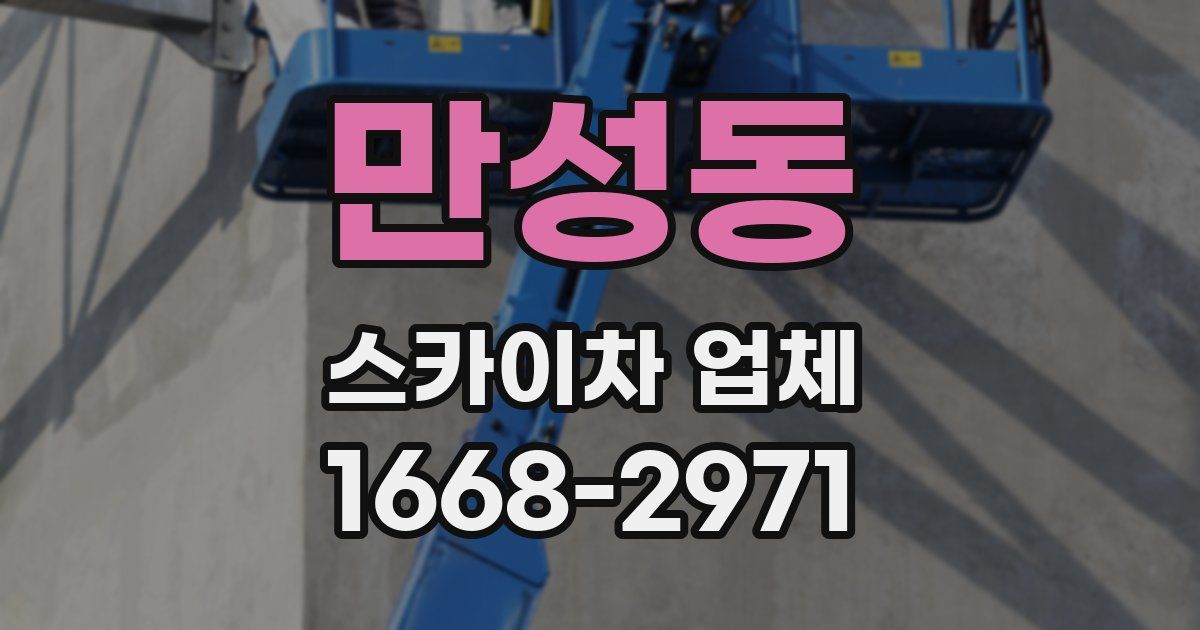 만성동 스카이차 업체