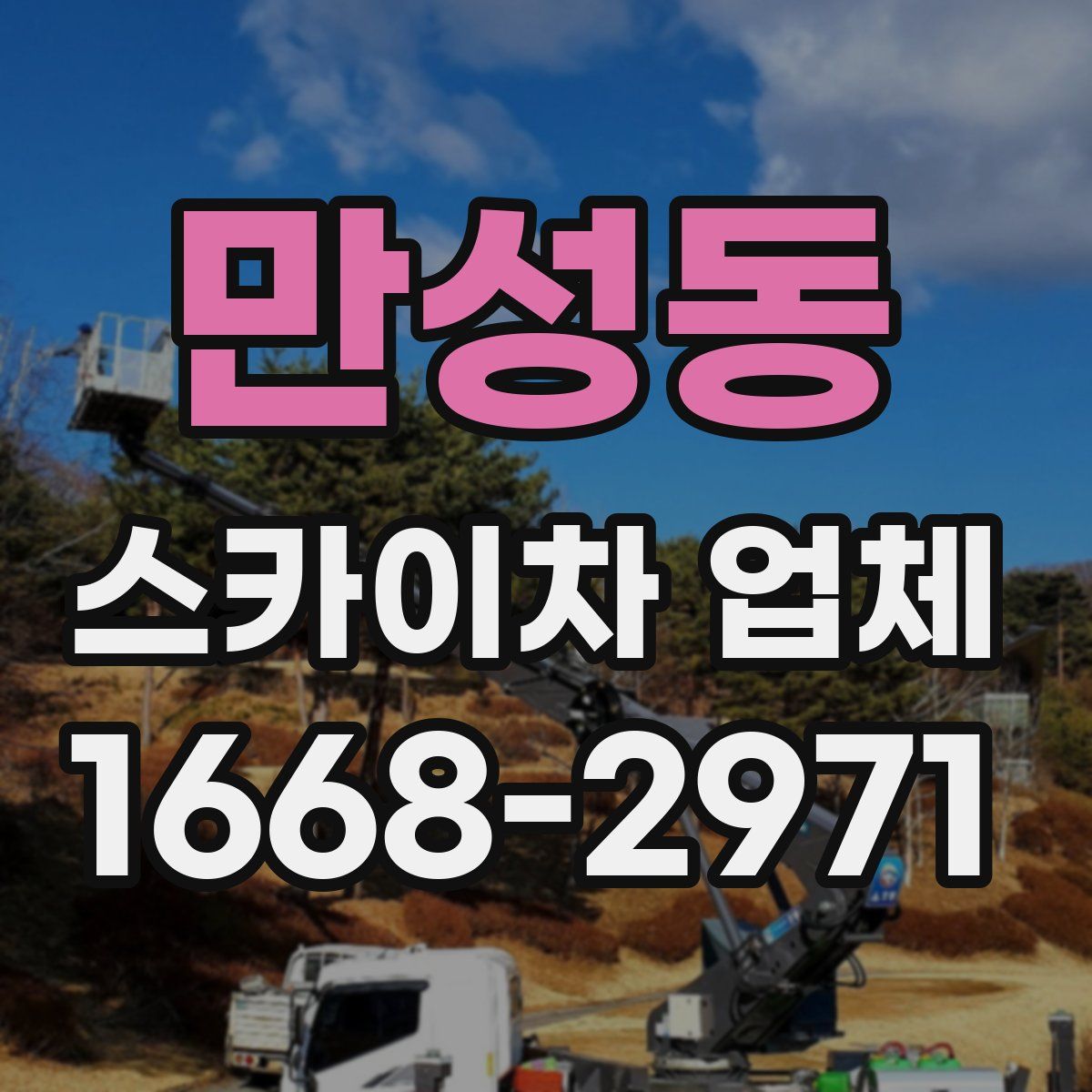 만성동 스카이차 업체