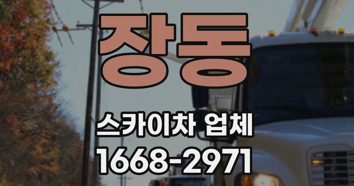 장동 스카이차 업체