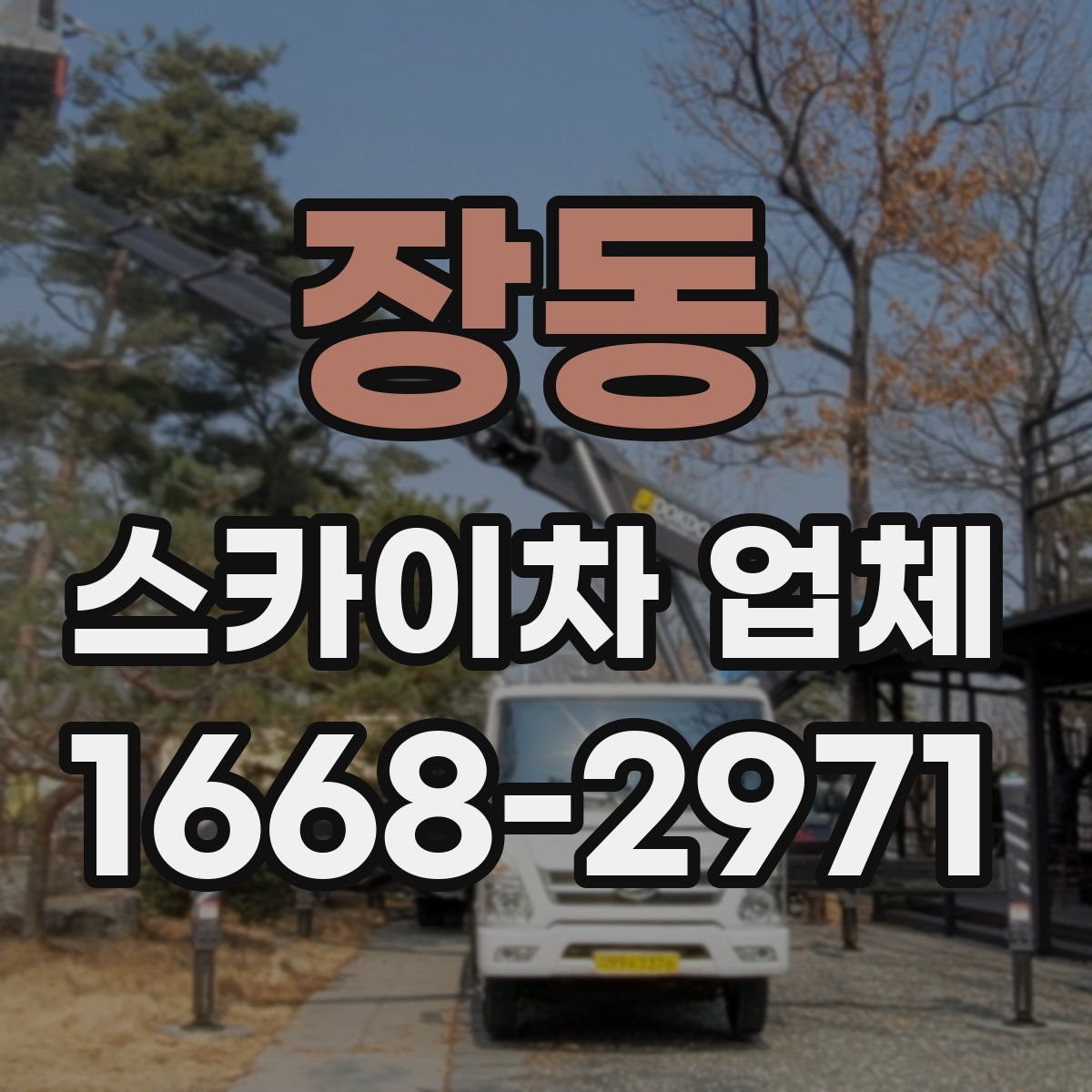 장동 스카이차 업체