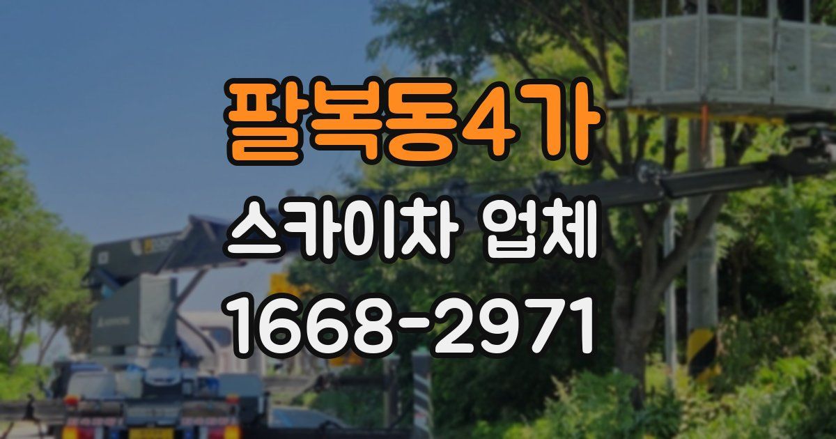 팔복동4가 스카이차 업체