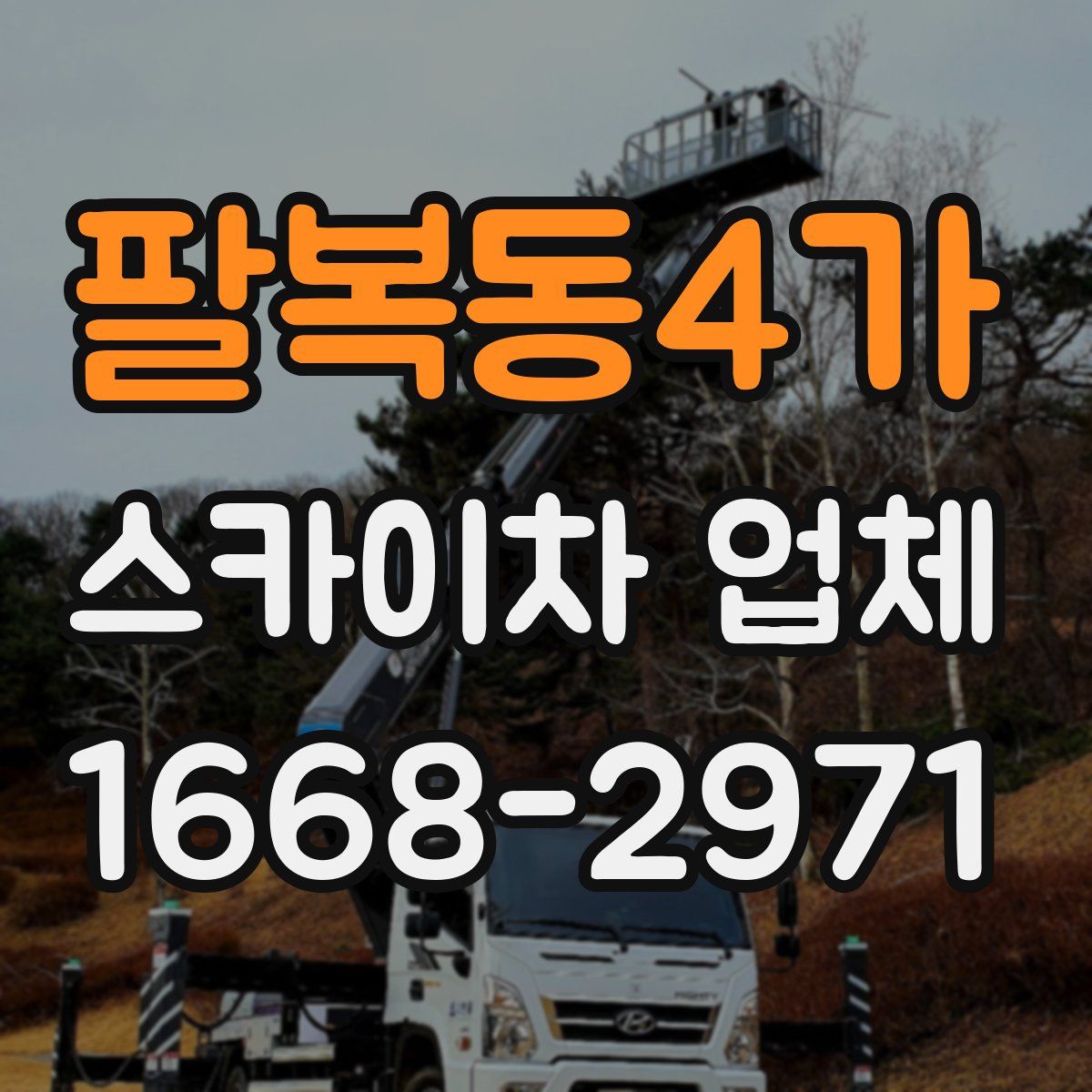 팔복동4가 스카이차 업체