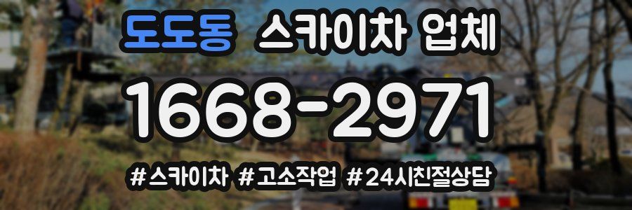 도도동 스카이차 업체